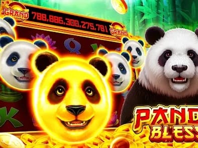 Live dealer gaming interface